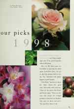 Better Homes & Gardens January 1998 Magazine Article: Our picks 1998