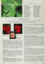 Better Homes & Gardens January 1998 Magazine Article: Reader shopping