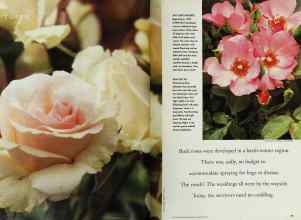 Better Homes & Gardens January 1998 Magazine Article: Page 74