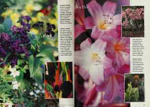 Better Homes & Gardens January 1998 Magazine Article: Page 76