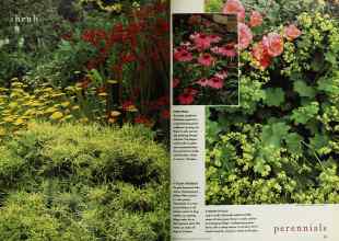 Better Homes & Gardens January 1998 Magazine Article: Page 78