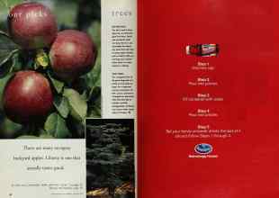 Better Homes & Gardens January 1998 Magazine Article: Page 80