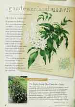 Better Homes & Gardens February 1998 Magazine Article: TEST GARDEN TIP