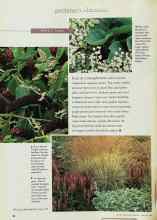 Better Homes & Gardens February 1998 Magazine Article: PERFECT PAIRS