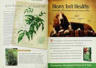 Better Homes & Gardens February 1998 Magazine Article: Page 90