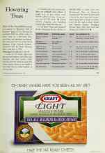 Better Homes & Gardens March 1998 Magazine Article: Flowering Trees