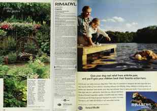 Better Homes & Gardens March 1998 Magazine Article: Page 122