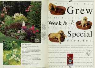 Better Homes & Gardens March 1998 Magazine Article: Page 124