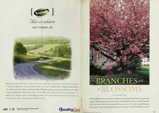 Better Homes & Gardens March 1998 Magazine Article: Page 126