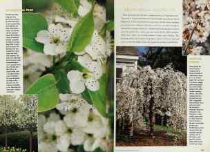 Better Homes & Gardens March 1998 Magazine Article: Page 128