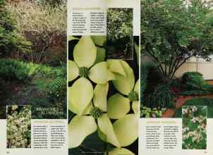 Better Homes & Gardens March 1998 Magazine Article: Page 130