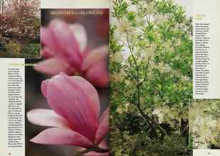 Better Homes & Gardens March 1998 Magazine Article: Page 132