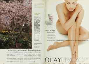 Better Homes & Gardens March 1998 Magazine Article: Page 134