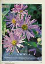 Better Homes & Gardens April 1998 Magazine Article: Long--blooming perennials