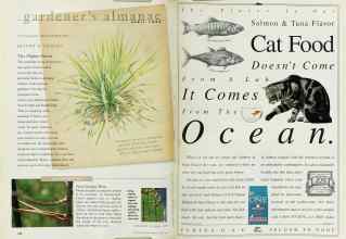Better Homes & Gardens April 1998 Magazine Article: Page 126