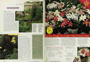 Better Homes & Gardens April 1998 Magazine Article: Page 130