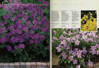 Better Homes & Gardens April 1998 Magazine Article: Page 150