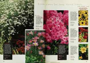 Better Homes & Gardens April 1998 Magazine Article: Page 152