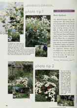 Better Homes & Gardens May 1998 Magazine Article: SMART GARDENING