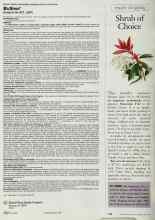 Better Homes & Gardens May 1998 Magazine Article: Shrub of Choice