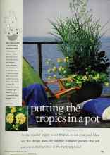 Better Homes & Gardens May 1998 Magazine Article: Putting the tropics in a pot