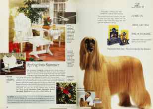 Better Homes & Gardens May 1998 Magazine Article: Page 96