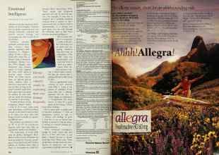 Better Homes & Gardens May 1998 Magazine Article: Page 106