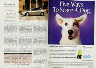 Better Homes & Gardens May 1998 Magazine Article: Page 144