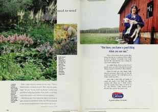 Better Homes & Gardens May 1998 Magazine Article: Page 158