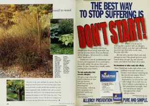 Better Homes & Gardens May 1998 Magazine Article: Page 160