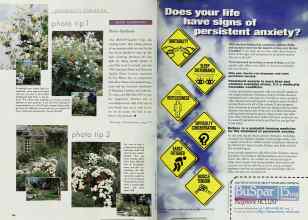 Better Homes & Gardens May 1998 Magazine Article: Page 166
