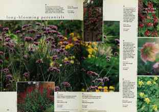 Better Homes & Gardens May 1998 Magazine Article: Page 180