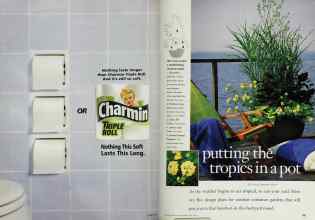 Better Homes & Gardens May 1998 Magazine Article: Page 184