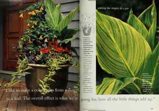 Better Homes & Gardens May 1998 Magazine Article: Page 188