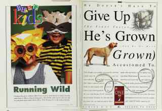 Better Homes & Gardens May 1998 Magazine Article: Page 254