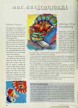 Better Homes & Gardens June 1998 Magazine Article: EPA Web Site Walk-Through