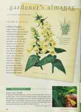 Better Homes & Gardens June 1998 Magazine Article: TEST GARDEN TIP