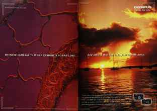 Better Homes & Gardens June 1998 Magazine Article: Page 44