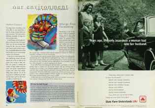 Better Homes & Gardens June 1998 Magazine Article: Page 94