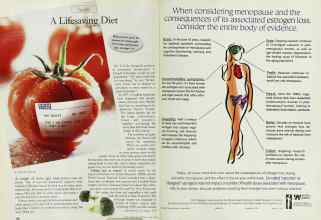 Better Homes & Gardens June 1998 Magazine Article: Page 106