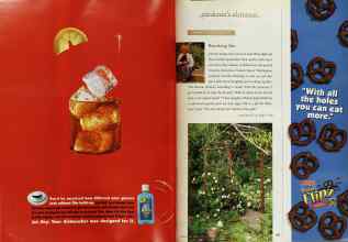 Better Homes & Gardens June 1998 Magazine Article: Page 138