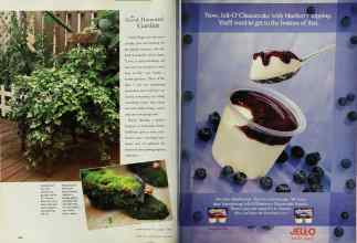 Better Homes & Gardens June 1998 Magazine Article: Page 144