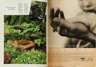 Better Homes & Gardens June 1998 Magazine Article: Page 146