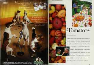 Better Homes & Gardens June 1998 Magazine Article: Page 150