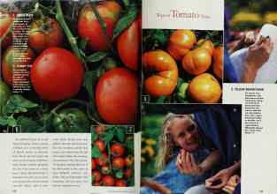 Better Homes & Gardens June 1998 Magazine Article: Page 152