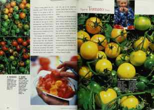 Better Homes & Gardens June 1998 Magazine Article: Page 154