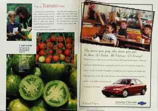 Better Homes & Gardens June 1998 Magazine Article: Page 156