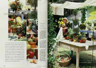 Better Homes & Gardens June 1998 Magazine Article: Page 186