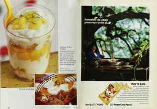 Better Homes & Gardens June 1998 Magazine Article: Page 204