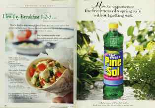 Better Homes & Gardens June 1998 Magazine Article: Page 232